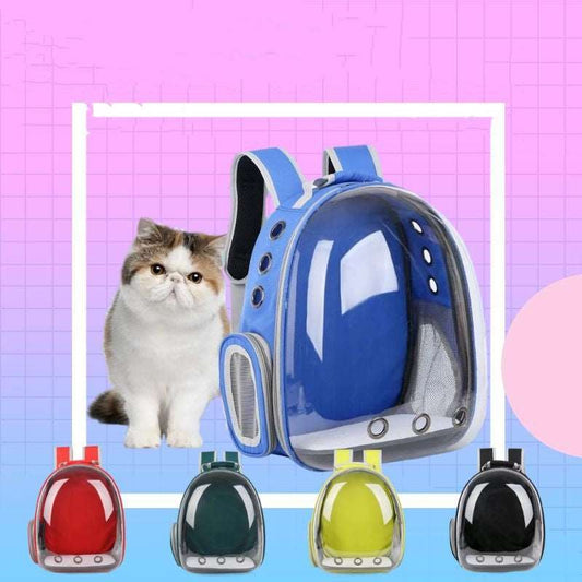 Transparent Backpack