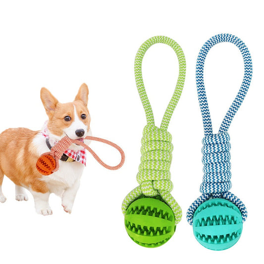 Interactive Dog Toy & Treat Ball